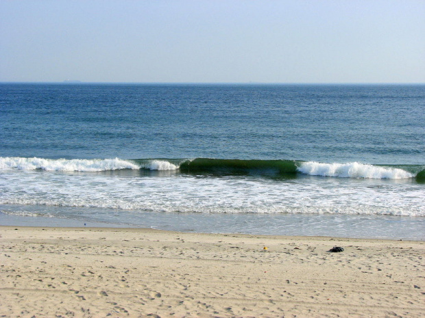 Październikowy spacer plażą... #ocean #plaza #mewy #ludzie #motyl #muszle #fale