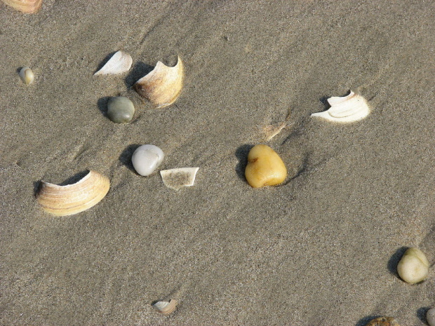 Październikowy spacer plażą... #ocean #plaza #mewy #ludzie #motyl