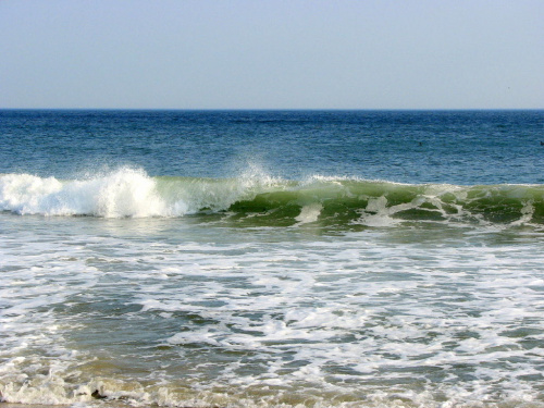 Październikowy spacer plażą... #ocean #plaza #mewy #ludzie #motyl #muszle #fale