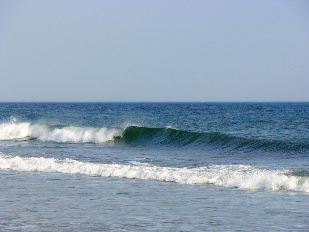 Październikowy spacer plażą... #ocean #plaza #mewy #ludzie #motyl #muszle #fale