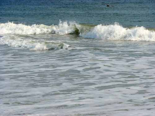 Październikowy spacer plażą... #ocean #plaza #mewy #ludzie #motyl