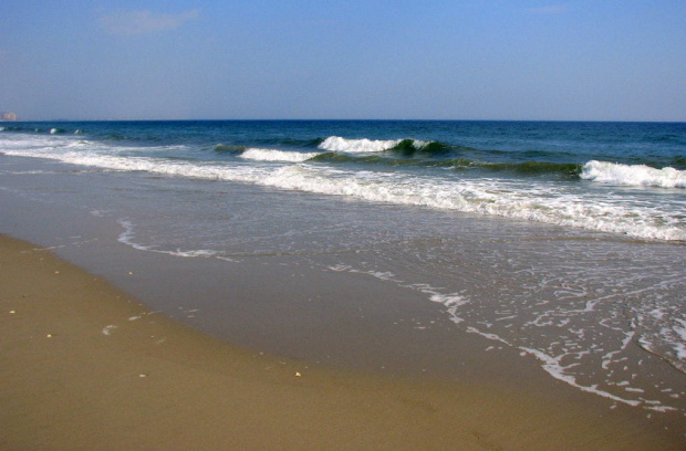 Październikowy spacer plażą ... #ocean #mewy