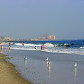 Październikowy spacer plażą... #ocean #plaza #mewy #ludzie #motyl