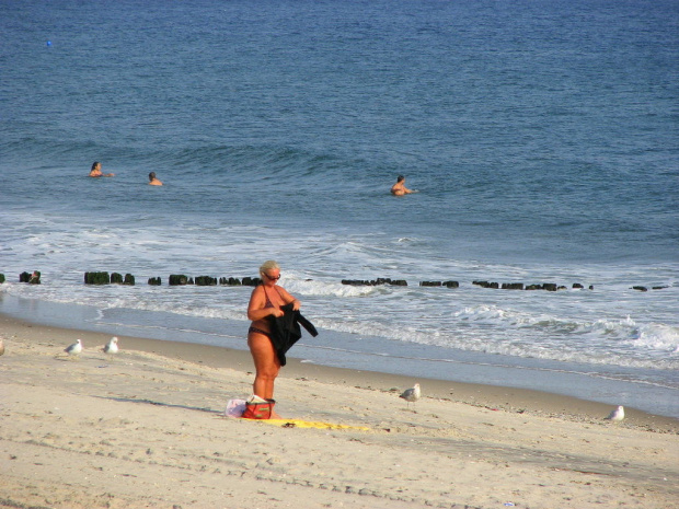 Październikowy spacer plażą... #ocean #plaza #mewy #ludzie #motyl #muszle #fale