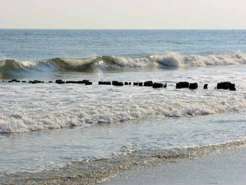 Październikowy spacer plażą... #ocean #plaza #mewy #ludzie #motyl #muszle #fale