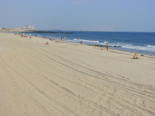 Październikowy spacer plażą... #ocean #plaza #mewy #ludzie #motyl #muszle #fale