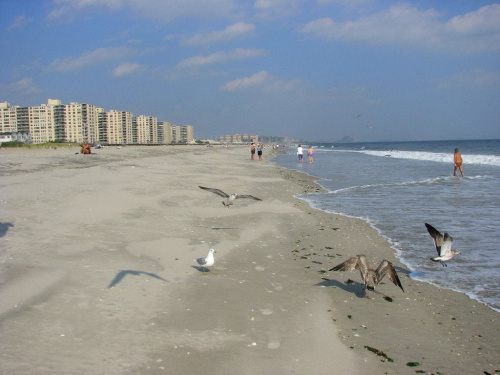 Październikowy spacer plażą...