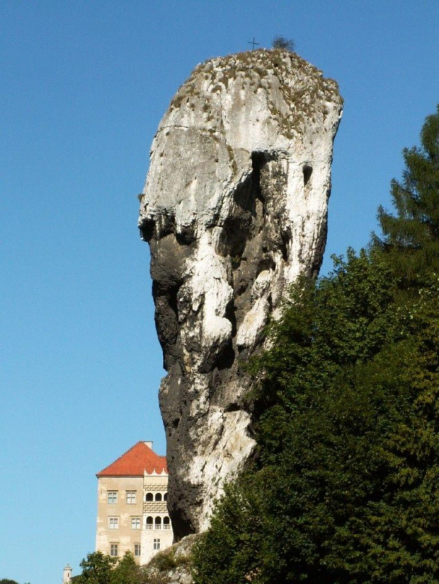 Maczuga Herkulesa w Pieskowej Skale #SkałaMaczuga