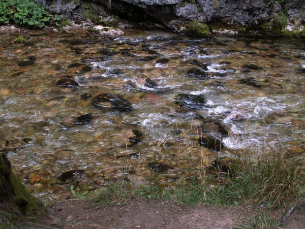 Potok w Dolinie Kobylańskiej #Potok