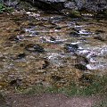Potok w Dolinie Kobylańskiej #Potok