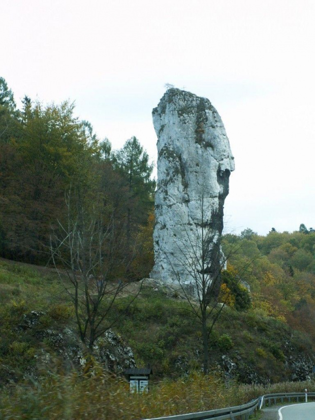 Maczuga Herkulesa zrobiona jak się jedzie od strony zamku w Pieskowej Skale. Z tej strony wygląda mniej jak maczuga ;) #Skały