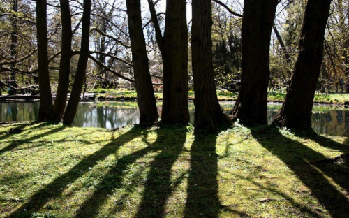 Wiosenna wyprawa do parku w Oliwie #oliwa #park #wiosna
