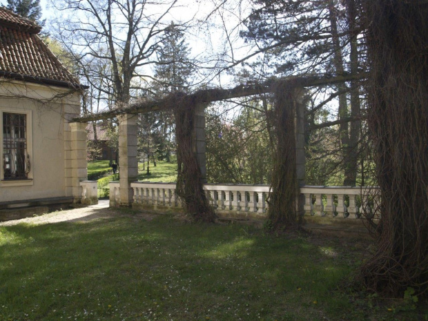 Park i pałac w Łężanach