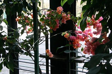 Wiosenna wyprawa do parku w Oliwie #oliwa #park #wiosna