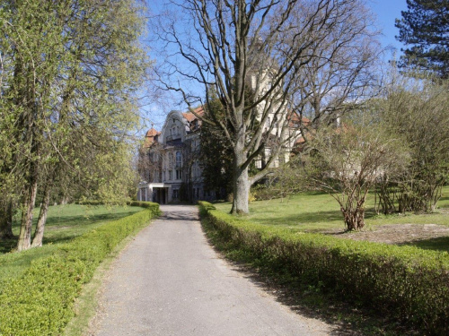 Park i pałac w Łężanach
