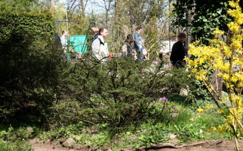 Wiosenna wyprawa do parku w Oliwie #oliwa #park #wiosna