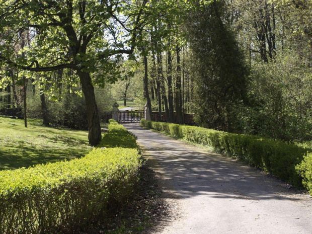 Park i pałac w Łężanach