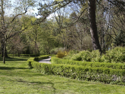 Park i pałac w Łężanach