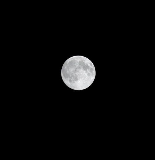 księżyc #ZdjęciaNocne
