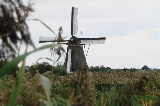 Wiatraki w Kinderdijk - Holandia #Wiatraki #Kinderdijk #Holandia #Kanały