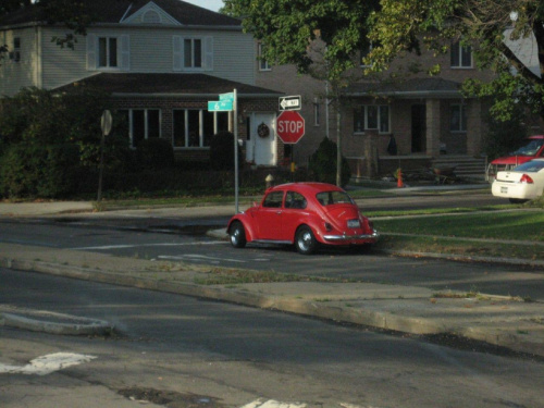 VW Beatle