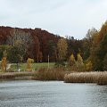 Największy park w Bydgoszczy, liczący 830 hektarów powierzchni, usytuowany w północnej części miasta w odległości 5 km od centrum.
Park ten zajmuje 4,7% powierzchni całego miasta. Zbiorniki wodne stanowią 17,3 ha (2% powierzchni parku), a największy z...