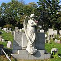 W Nowym Jorku nie ma Swieta Zmarlych 1 listopada,tylko w maju,ale i tak nie ma tlumow na cmentarzach.Co kraj ... #cmentarz
