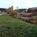 Największy park w Bydgoszczy, liczący 830 hektarów powierzchni, usytuowany w północnej części miasta w odległości 5 km od centrum.
Park ten zajmuje 4,7% powierzchni całego miasta. Zbiorniki wodne stanowią 17,3 ha (2% powierzchni parku), a największy z...