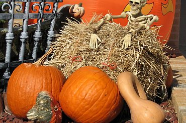 Straszenia cd. #strachy #dynie #upiory #duchy