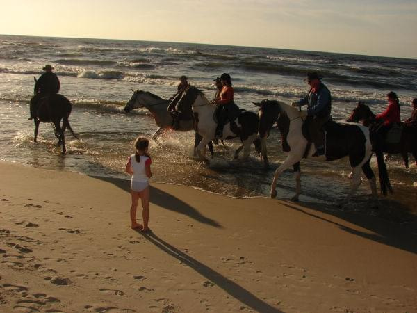 miały być dzikie galopy po plaży ale chyba pora nie odpowiednia