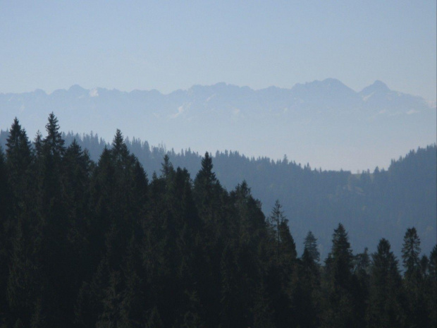 Widok na Tatry