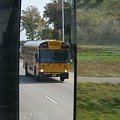 IC school bus