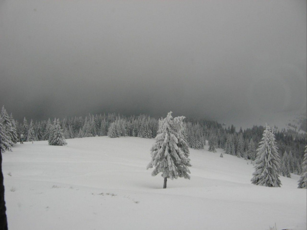 Widok ze schroniska na Turbaczu