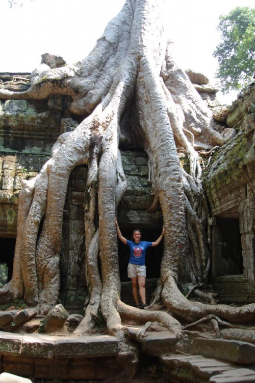 TA PROHM-jedna z najbardziej atmosferycznych swiatyni na terenie ANGKOR. Korzenie sa tak wkomponowane w budynek ze nie mozna ich juz usunac by nie naruszyc konstrukcji. w 2000 roku krecono na tym terenie Lare Croft (Angelina Jolie w roli glownej)