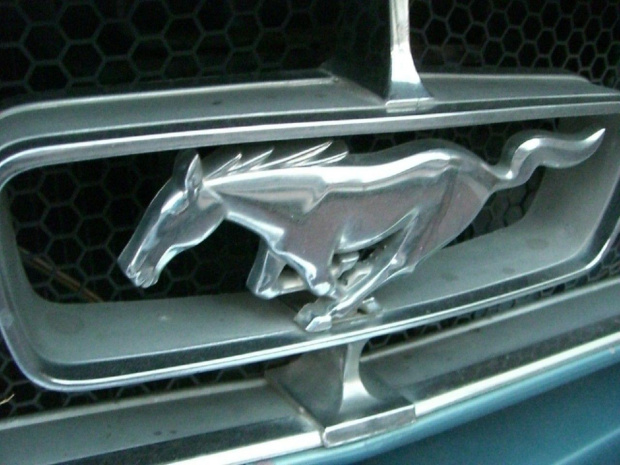 Mustang