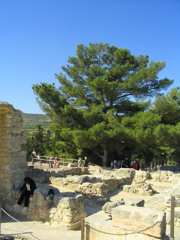 KNOSSOS