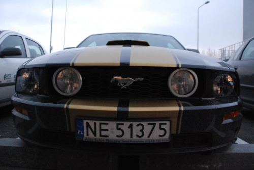 Mustang GT