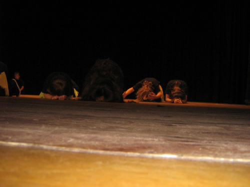 Tczew, czerwiec 2007, Międzynarodowy Przegląd Teatrów Wspaniałych - występ