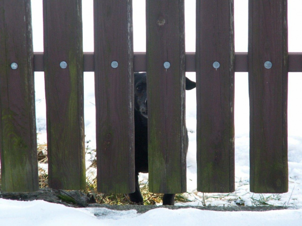 Spacer, Bębło 2007-12-22