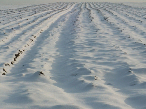 Spacer, Bębło 2007-12-22