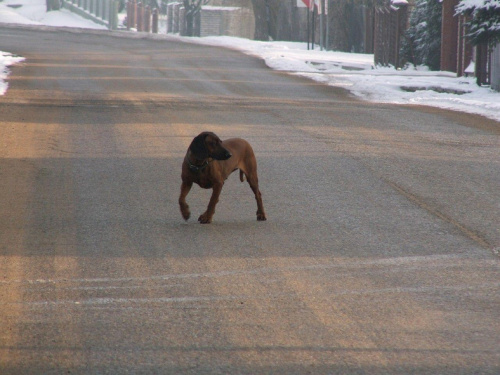 Spacer, Bębło 2007-12-22