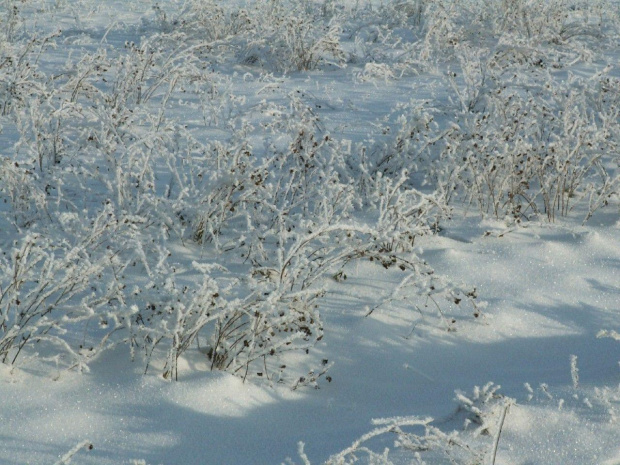 Spacer, Bębło 2007-12-22