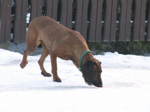 Spacer, Bębło 2007-12-22