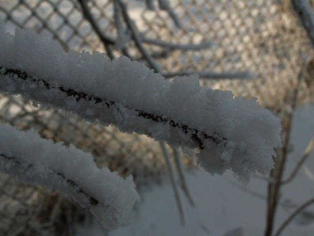 Spacer, Bębło 2007-12-22