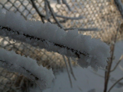 Spacer, Bębło 2007-12-22