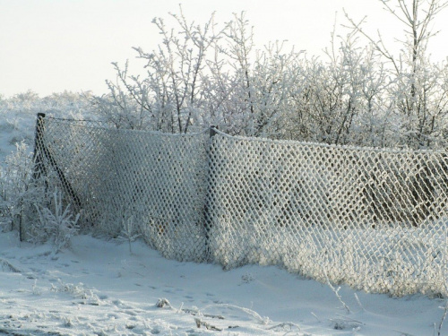 Spacer, Bębło 2007-12-22