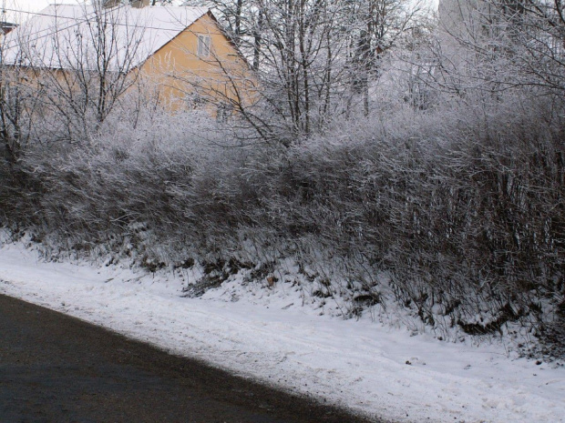 Spacer, Bębło 2007-12-22