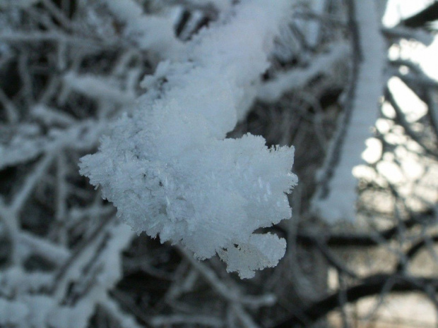 Spacer, Bębło 2007-12-22