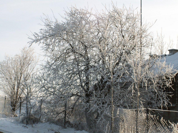 Spacer, Bębło 2007-12-22