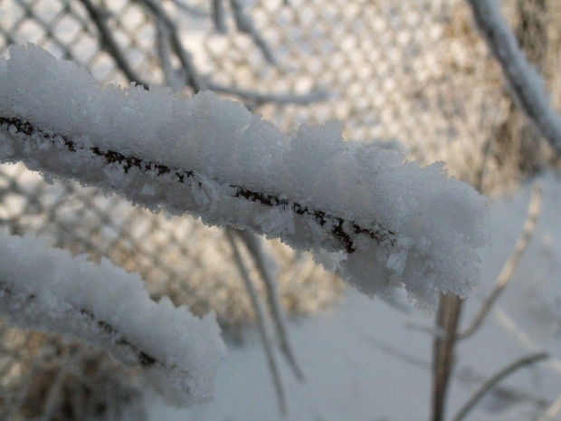 Spacer, Bębło 2007-12-22